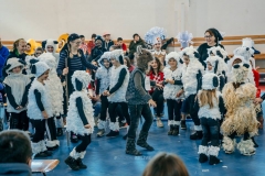 53095642_2177127455680882_3502868296032583680_n