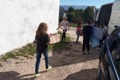 IMG-20191008-WA0012