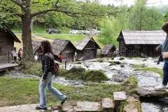 IMG-20230509-WA0008