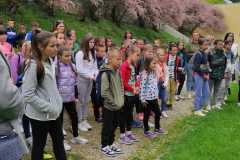IMG-20230509-WA0014