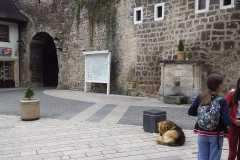 IMG-20230509-WA0033