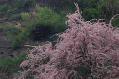IMG-20230509-WA0045