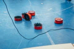 53435052_2177124089014552_2239732188239101952_n