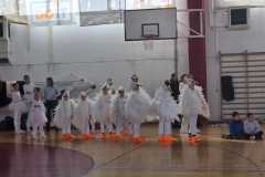 WhatsApp-Image-2026-02-17-at-17.15.331