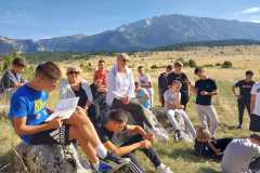 3ea1b136b92c41c885aeeea505dc6882